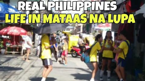 mataas na lupa zip code|Zip Code 4217 .